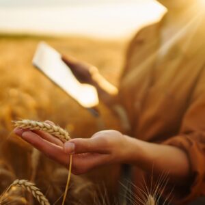 Agri-Tech Transfer Consulting – Consult an Expert