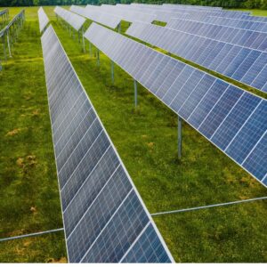 Circular Economy Concept Co-Ideation – Consult an Expert