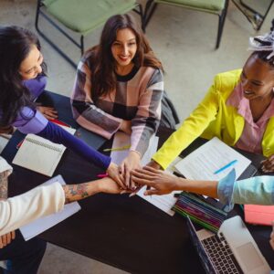 Diversity in Founding Teams Strategy – Consult an Expert