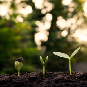 ESG Strategy Ideation Workshop – Consult an Expert