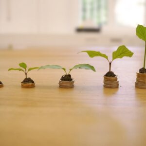 Executive Team Structuring with Founders – Consult an Expert