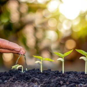 Founders' Self-Awareness Sessions – Consult an Expert