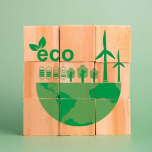 Green Product Innovation Brainstorm – Consult an Expert