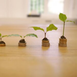 Innovation Workshop for Founding Teams – Consult an Expert