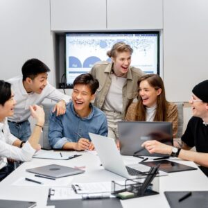 Inventor-Developer Collaboration Systems – Consult an Expert