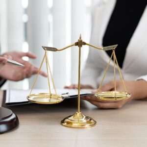 NGO-Government-Startup Transfer Models – Consult an Expert