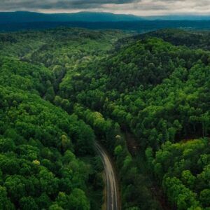 Platform Economy Idea Development – Consult an Expert