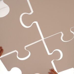 Product Co-Development Framework – Consult an Expert