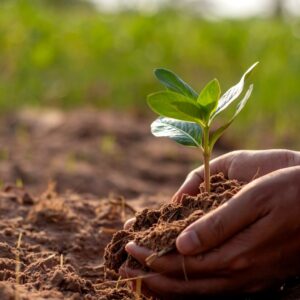 Shock and Vibration Test Lab Setup – Consult an Expert