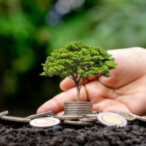 Social Impact Invention Workshop – Consult an Expert