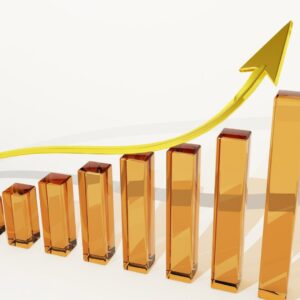 Subscription Revenue Brainstorming – Consult an Expert