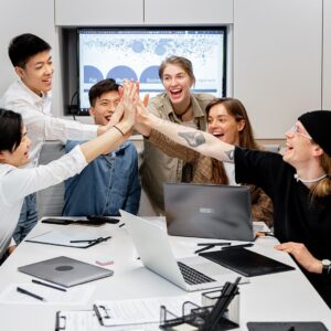 Team Feedback Loop Design for Co-Creation – Consult an Expert